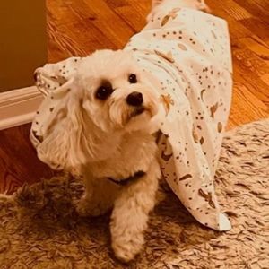 Meet your Posher, Madeline